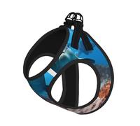 M Laisse gilet harnais pour chien - Petite taille drôle dauphin qui vous regarde, ensemble de laisse réfléchissante pour l'extérieur et la promenade du chien