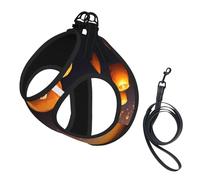 M Laisse Gilet Harnais pour Chien - Petite Taille Imprimé Lanternes Volantes Chinoises Ensemble Laisse Réfléchissante pour Extérieur et Chien