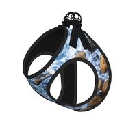 M Laisse Gilet Harnais pour Chien - Petite Taille Imprimé Pierres de Mer Ensemble Laisse Réfléchissante pour Extérieur et Chien Promenade