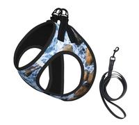 M Laisse Gilet Harnais pour Chien - Petite Taille Imprimé Pierres de Mer Ensemble Laisse Réfléchissante pour Extérieur et Chien Promenade