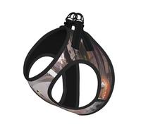 M Laisse gilet harnais pour chien - Petite taille imprimé rue pluvieuse à Paris Ensemble laisse réfléchissante pour extérieur et promenade du chien