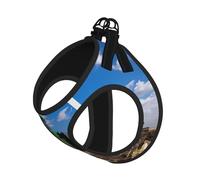 M Laisse gilet harnais pour chien - Petite taille imprimé tracteur ferme Ensemble laisse réfléchissante pour l'extérieur et la promenade du chien