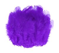 M METERXITY 100-Pack Plumes De Coq Hackle Selle, 1.6-3 Pouce / 4-8cm en Vrac Plumes Naturelles Duveteuses pour Artisanat/Mariage/Attrape-Rêves/Décorations DIY [Violet Foncé]
