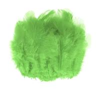 M METERXITY 100-Pack Saddle Hackle Rooster Feather, 1.6-3 inch / 4-8cm Bulk Natural Fluffy Feathers pour Crafting/Wedding/Dream Catcher/DIY Crafts Decorations [Fruit Green]