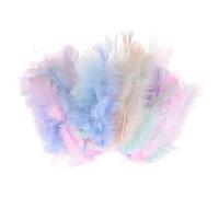 M METERXITY 100-Pack Saddle Hackle Rooster Feather, 1.6-3 inch / 4-8cm Bulk Natural Fluffy Feathers pour Crafting/Wedding/Dream Catcher/DIY Crafts Decorations [Multiple Colors]