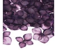 M METERXITY 12-Pack Fleurs Pressées Séchées pour Résine, Fleurs Séchées Naturelles en Vrac pour Artisanat/DIY Bijoux/Scrapbooking/Bougie/Équipements Résine Époxy//Cadres Photo [Violet Foncé]