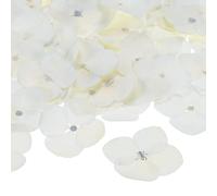 M METERXITY 12-Pack Fleurs Pressées Séchées pour Résine, Fleurs Séchées Naturelles en Vrac pour Artisanat/Bijoux DIY/Scrapbooking/Bougie/Fournitures pour Résine Époxy [Blanc]