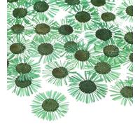M METERXITY 12-Pack Fleurs Pressées Séchées pour Résine, Véritables Fleurs Naturelles en Gros pour Artisanat/Bijoux DIY/Scrapbooking/Bougie/Fournitures pour Résine Époxy/Cadres Photo [Green]