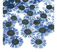 M METERXITY 12-Pack Fleurs Pressées Séchées pour Résine, Vraies Fleurs Naturelles en Vrac pour Artisanat/DIY Bijoux/Scrapbooking/Bougie/Fournitures pour Résine Époxy/Cadres Photo [Blue]