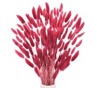 M METERXITY 180Pcs Queues De Lapin Herbe 17 inch Rouge Brun Foncé | Peluche Herbe À Queue De Lapin Fleurs Séchées Branches Remplisseur De Vase, ornementationation D'Herbe Séchée Pour Maison