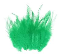 M METERXITY 300-Pack Plumes De Coq Hackle, 3-6 Pouce / 8-15cm en Vrac Plumes Naturelles Duveteuses pour Bricolage/Mariage/Attrape-Reves/Decorations DIY [Vert Herbe]