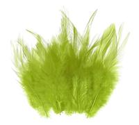 M METERXITY 300-Pack Saddle Hackle Rooster Feather, 3-6 inch / 8-15cm Bulk Natural Fluffy Feathers pour Crafting/Wedding/Dream Catcher/DIY Crafts Decorations [Green]