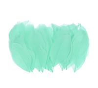 M METERXITY 50-Pack en Vrac Plumes d'oie Naturelles Bleu-Vert Clair | 1.6-3 Pouce / 4-8cm, pour Bricolage Mariage Attrape-Rêves Décorations DIY Artisanat, Plumes D'Oie