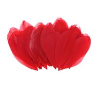 M METERXITY 50-Pack Plumes d'oie, 1.6-3 Pouce / 4-8cm en Gros Plumes d'oie Naturelles pour Crafting/Mariage/Dream Catcher/DIY Crafts Decorations[Red]