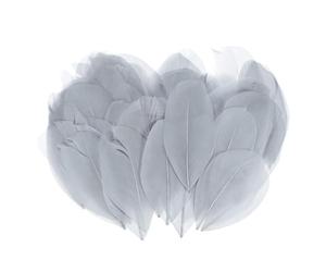 M METERXITY 50-Pack Plumes d'oie, 1.6-3 Pouce / 4-8cm en Vrac Plumes d'oie Naturelles pour Artisanat/Mariage/Attrape-Reves/Decorations DIY Artisanales[Gris]