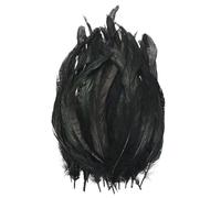 M METERXITY 50-Pack Plumes Naturelles De Queue De Coq, 10-12 Pouces / 25-30cm De Longueur Plumes De Queue De Coq pour Artisanat/Mariage/Attrape-Reves/Decorations DIY [Noir]