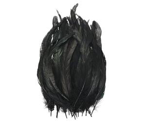 M METERXITY 50-Pack Plumes Naturelles De Queue De Coq, 10-12 Pouces / 25-30cm De Longueur Plumes De Queue De Coq pour Artisanat/Mariage/Attrape-Reves/Decorations DIY [Noir]