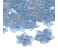 M METERXITY 60-Pack Fleurs Séchées Pressées pour Résine, Fleurs Séchées Naturelles en Vrac pour Artisanat/DIY Bijoux/Scrapbooking/Bougie/Fournitures pour Résine Époxy [Bleu]