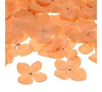 M METERXITY 60-Pack Fleurs Séchées Pressées pour Résine, Vraies Fleurs Naturelles en Vrac pour Artisanat/DIY Bijoux/Scrapbooking/Bougie/Fournitures pour Résine Époxy [Orange]