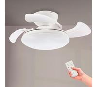 M Mimotec - Ventilateur de plafond LED Mushroom blanc Ø72,5 cm, moteur DC silencieux, LED 24 W dimmable 3CCT 2700-6500 K, 2400 lm, télécommande, minuterie, fonction été/hiver