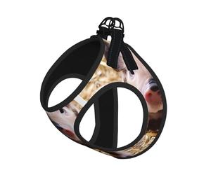 M Pet Harnais pour chien - Petite taille, imprimé cochon mignon réglable pour les voyages en plein air et la marche