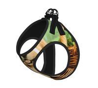 M Pet Harnais pour chien - Petite taille, imprimé golden retriever réglable, pour les voyages en plein air et la marche