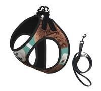 M Pet Laisse gilet et harnais pour chien - Ensemble de laisse avec boucle, motif lama alpaga, compagnon de voyage en plein air