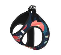 M Pet Laisse gilet et harnais pour chien - Ensemble de laisse imprimé planètes spatiales avec boucle, compagnon canin de voyage en plein air