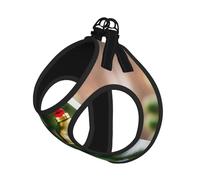 M Pet Laisse gilet et harnais pour chien - Ensemble de laisse imprimé sapin de Noël et clochettes avec boucle, compagnon canin de voyage en plein air