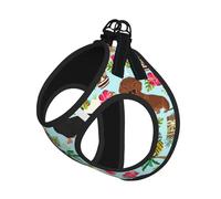 M Pet Laisse gilet et harnais pour chien - Ensemble de laisse pour chien de petite taille imprimé ananas avec boucle, compagnon canin de voyage en plein air
