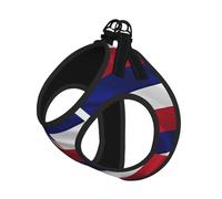 M Pet Laisse Gilet Harnais pour Chien - Ensemble de Laisse de Petite Taille, Drapeau d'Hawaï Imprimé Américain Chiot Maille Respirant pour Compagnons Canins