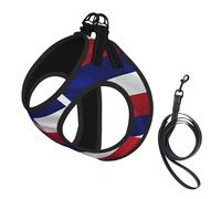 M Pet Laisse Gilet Harnais pour Chien - Ensemble de Laisse de Petite Taille, Drapeau d'Hawaï Imprimé Américain Chiot Maille Respirant pour Compagnons Canins