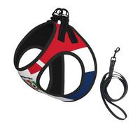 M Pet Laisse Gilet Harnais pour Chien - Ensemble de laisse de petite taille, imprimé République dominicaine pour chiot en maille respirante pour compagnons canins