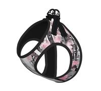 M Pet Laisse Gilet Harnais pour Chien - Ensemble de Laisse de Petite Taille, Tour Eiffel Paris Street Imprimé Floral Rose Imprimé Floral Chiot Maille Respirant pour Compagnons Canins