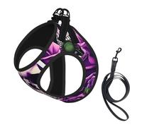M Pet Laisse Gilet Harnais pour Chien - Petite Taille Beaucoup Violet Imprimé Crâne Rose Ensemble de Laisse avec Boucle, Compagnon Canin Outdoor Chien Promenade