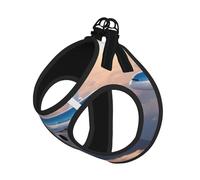 M Pet Laisse Gilet Harnais pour Chien - Petite Taille Belle Imprimé Avion Ciel Ensemble Laisse avec Boucle, Compagnon Canin Outdoor Chien Promenade