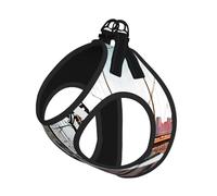 M Pet Laisse Gilet Harnais pour Chien - Petite Taille Brooklyn Bridge Print Leash Set avec Boucle, Compagnon Canin Outdoor Dog Walking