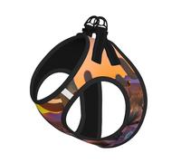 M Pet Laisse Gilet Harnais pour Chien - Petite Taille Cactus Désert Couchers de Soleil Imprimé Ensemble Laisse avec Boucle, Compagnon Canin Outdoor Chien Promenade