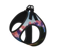 M Pet Laisse Gilet Harnais pour Chien - Petite Taille Grand Teton National Park Imprimé Laisse Ensemble avec Boucle, Compagnon Canin Outdoor Chien Promenade