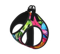 M Pet Laisse Gilet Harnais pour Chien - Petite Taille Imprimé Graffiti Dessin Laisse Set avec Boucle, Compagnon Canin Outdoor Chien Promenade