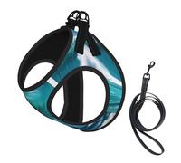M Pet Laisse Gilet Harnais pour Chien - Petite Taille Imprimé Vague Ciel Clair Ensemble Laisse avec Boucle, Compagnon Canin Outdoor Chien Promenade