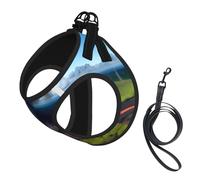 M Pet Laisse Gilet Harnais pour Chien - Petite Taille Kilauea Volcano Bloom Print Leash Set avec Boucle, Compagnon Canin Outdoor Chien Promenade