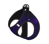 M Pet Laisse Gilet Harnais pour Chien - Petite Taille Magique Galaxy Sky Print Laisse Set avec Boucle, Compagnon Canin Outdoor Chien Promenade