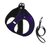 M Pet Laisse Gilet Harnais pour Chien - Petite Taille Magique Galaxy Sky Print Laisse Set avec Boucle, Compagnon Canin Outdoor Chien Promenade