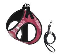 M Pet Laisse Gilet Harnais pour Chien - Petite Taille Romantique Coeur Imprimé Laisse Ensemble avec Boucle, Compagnon Canin Outdoor Chien Promenade