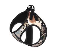 M Pet Laisse Gilet Harnais pour Chien - Petite Taille Romantique Paris Tour Eiffel Bycicle Imprimé Laisse Ensemble avec Boucle, Compagnon Canin Outdoor Chien Promenade