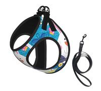 M Pet Laisse harnais pour chien - Petite taille, imprimé printemps joyeuses vacances de Pâques réglable pour les voyages en plein air et la marche