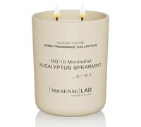 M&SENSE Bougie Naturelle à la Cire de Soja |Eucalyptus Mint | 470g | Bougie Parfumée Minimaliste pour Détente, Cadeaux, Décoration Intérieure | Chambre, Bureau, Petites Fêtes