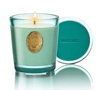 M&SENSE Bougie Parfumée Eucalyptus Menthe,260g Bougie Parfumée en Pot Bougie de Soja Naturelle,50 Heures de Combustion,Cadeaux Bougies Cadeau Anniversaire Pour Femmes & Hommes