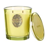 M&SENSE Bougie Parfumée Forêt tropicale de Seattle,560g Bougie Parfumée en Pot Bougie de Soja Naturelle,110 Heures de Combustion,Cadeaux Bougies Cadeau Anniversaire Pour Femmes & Hommes